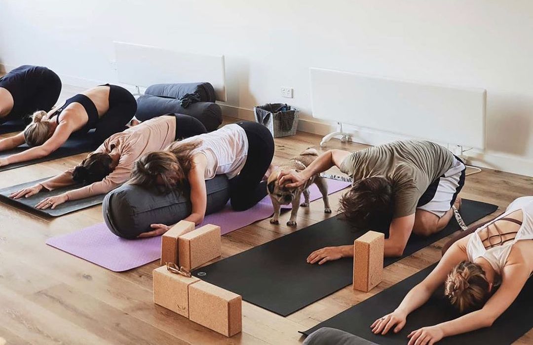 Sana En Uygun Yoga Matını Nasıl Seçersin? - Stilefit.com