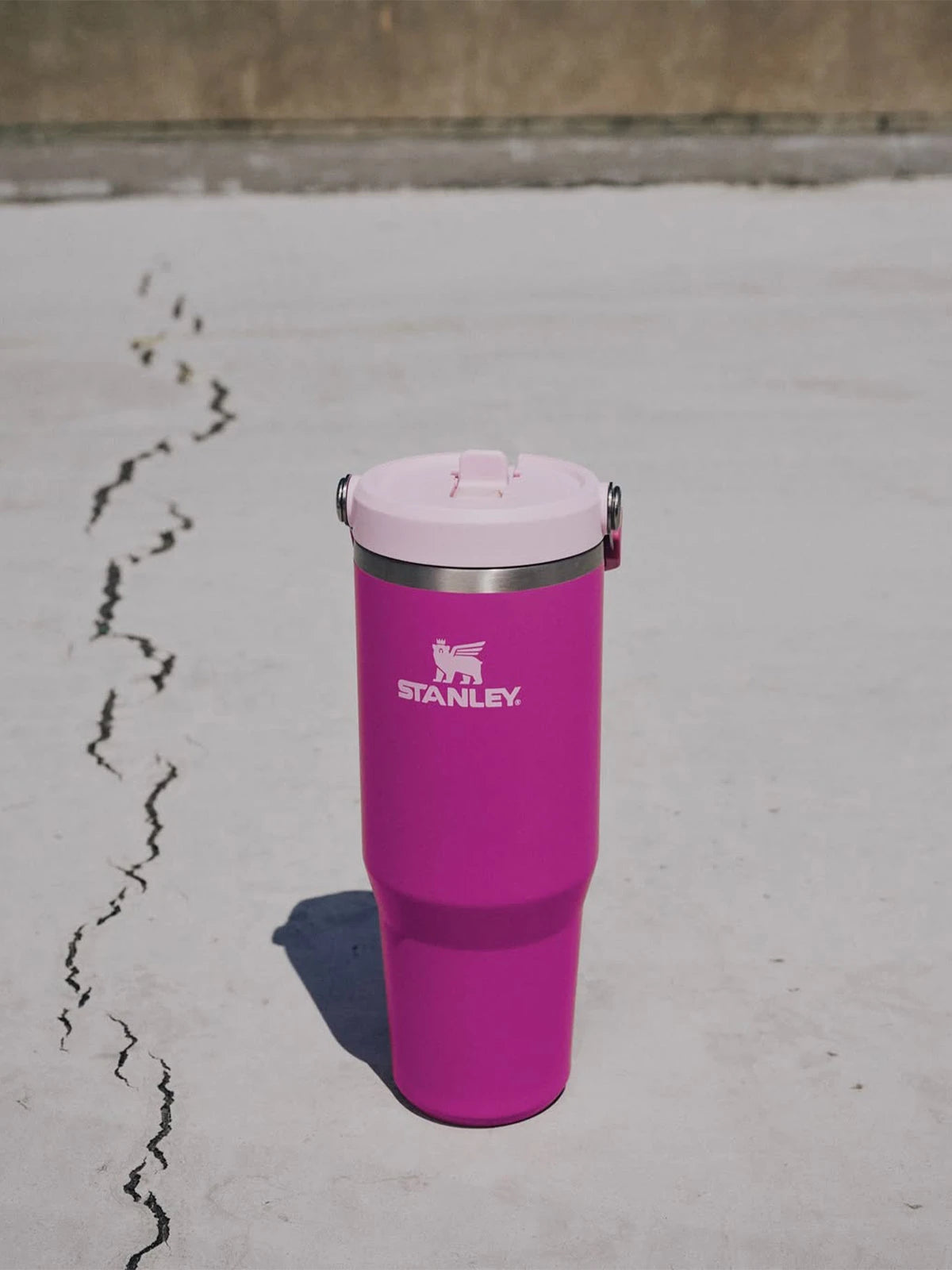 Stanley IceFlow™ Flip Straw Thumbler Pipetli Termos | 0.89L