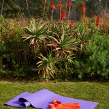 PROlite® Passion Berry 4.7mm Yoga Matı Manduka