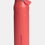 Stanley IceFlow™ Bottle Flip Straw 2.0 Pipetli Termos I 1.06 LT