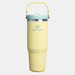 Stanley IceFlow™ Flip Straw Thumbler Pipetli Termos | 0.89L